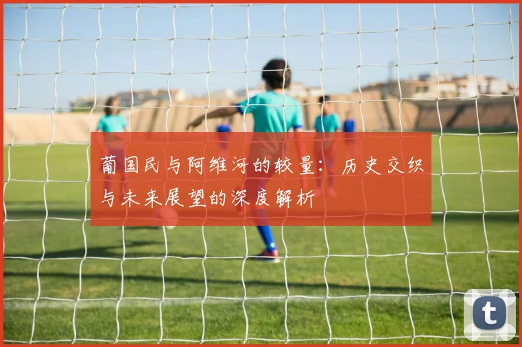 葡国民与阿维河的较量：历史交织与未来展望的深度解析
