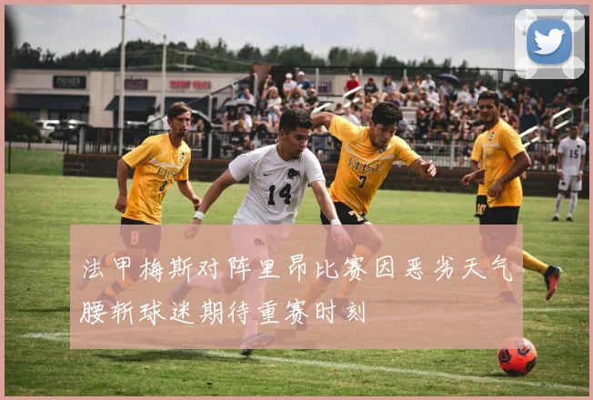 法甲梅斯对阵里昂比赛因恶劣天气腰斩球迷期待重赛时刻