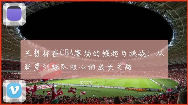 王哲林在CBA赛场的崛起与挑战：从新星到球队核心的成长之路