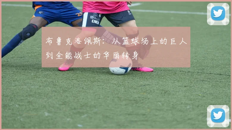 布鲁克洛佩斯：从篮球场上的巨人到全能战士的华丽转身