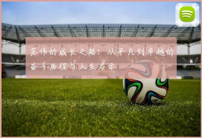 苏伟的成长之路：从平凡到卓越的奋斗历程与人生启示