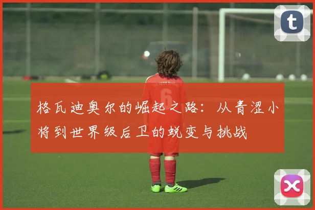 格瓦迪奥尔的崛起之路：从青涩小将到世界级后卫的蜕变与挑战