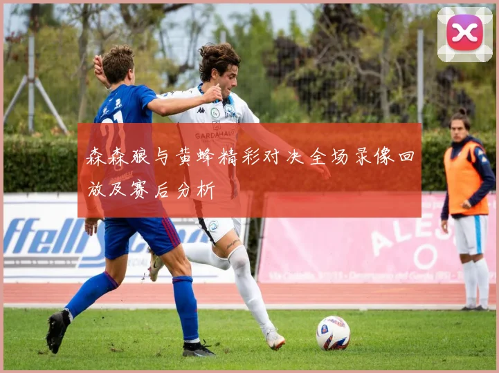 森森狼与黄蜂精彩对决全场录像回放及赛后分析