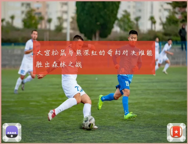 大宫松鼠与熊深红的奇幻对决谁能胜出森林之战