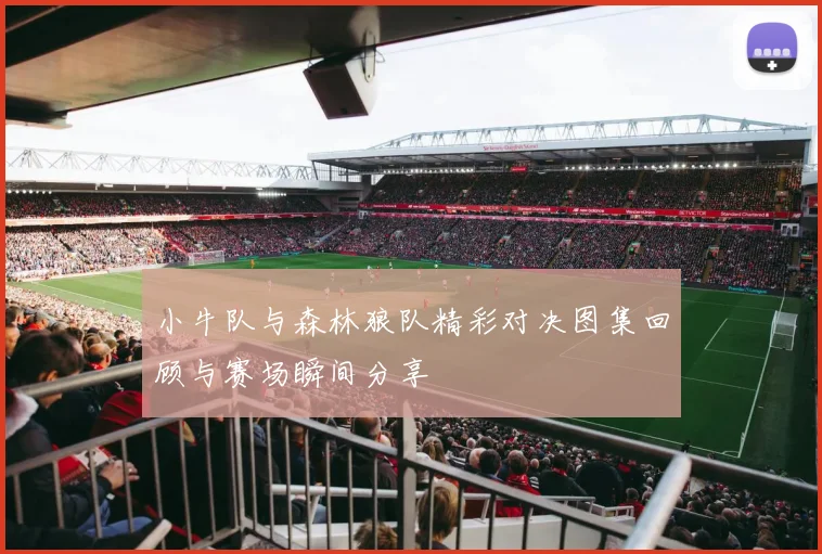 小牛队与森林狼队精彩对决图集回顾与赛场瞬间分享