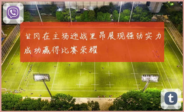 甘冈在主场迎战里昂展现强劲实力成功赢得比赛荣耀