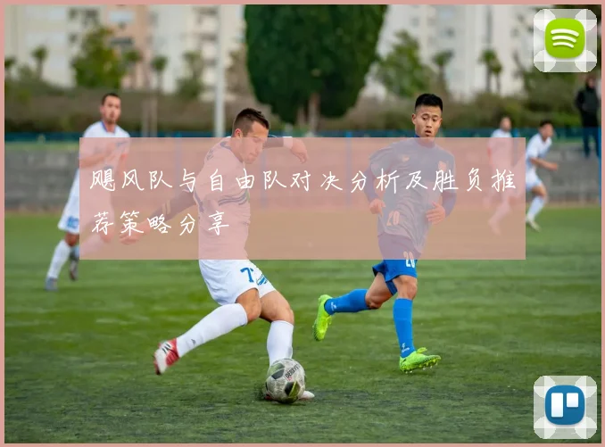 飓风队与自由队对决分析及胜负推荐策略分享
