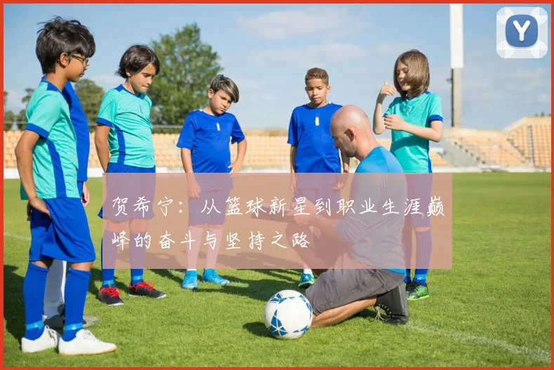 贺希宁：从篮球新星到职业生涯巅峰的奋斗与坚持之路